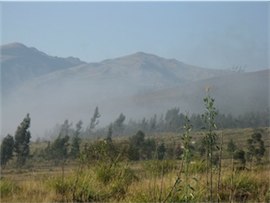 The view to the South