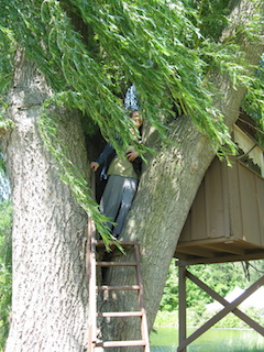 Helen in a treehouse at the Grass Lake Sanctuary